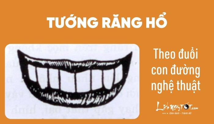 Nhận biết tính cách qua tướng răng - Răng hổ