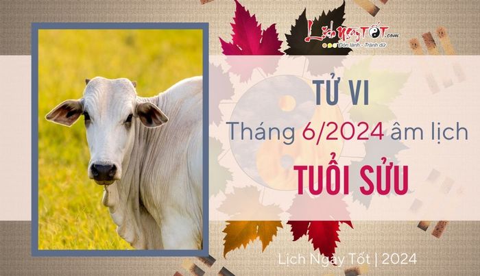 Tu vi thang 6/2024 tuoi Suu am lich