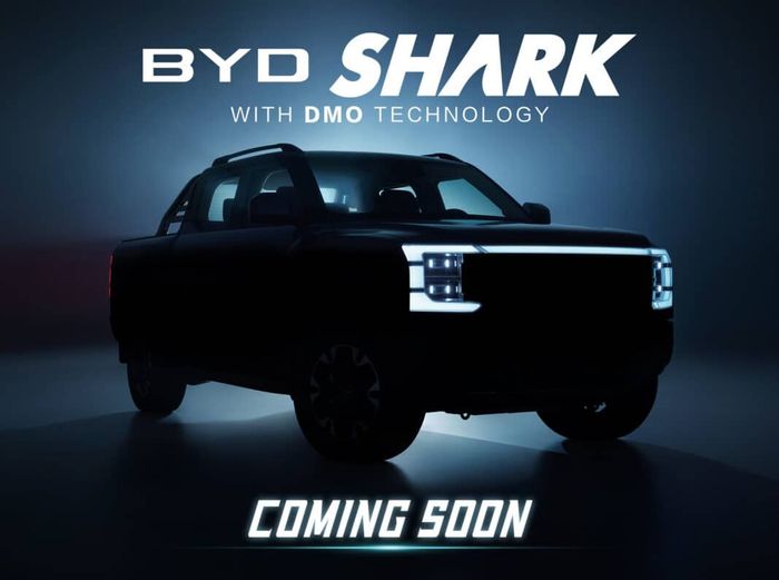 byd-shark.jpg