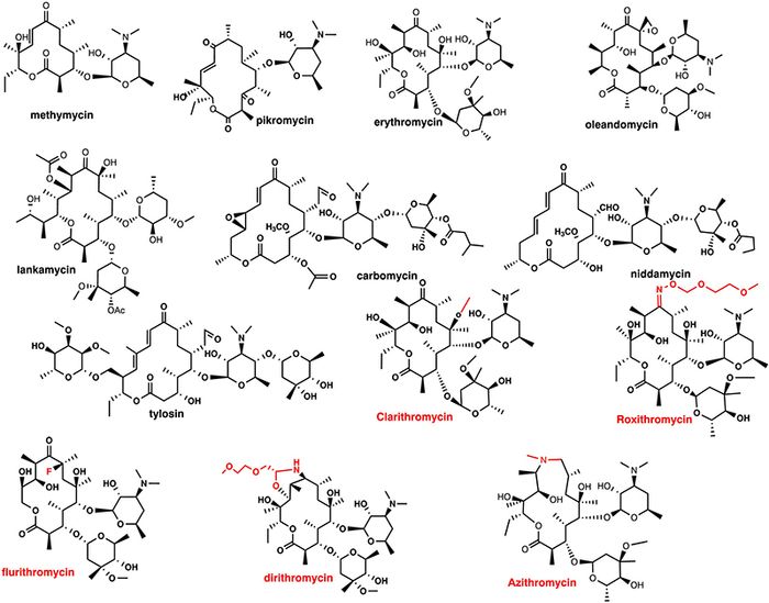 Công thức hóa học của kháng sinh Macrolid