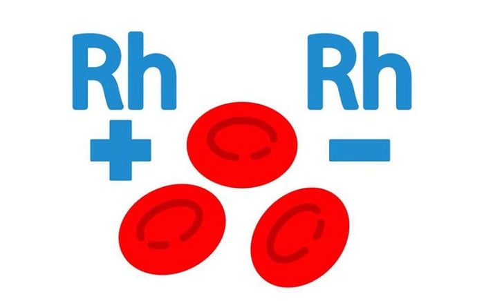 Tất cả những nhóm máu Rh- đều là những nhóm máu hiếm