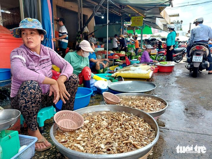 Dọc theo chợ Dương Đông (Thành phố Phú Quốc), bạn có thể thấy người dân bày bán nấm tràm nhiều - Ảnh: CHÍ CÔNG