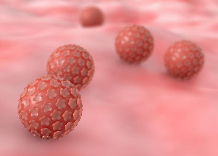 Vi rút HPV khi xâm nhập vào cơ thể có khả năng gây ra nhiều bệnh lý nguy hại cho sức khỏe.