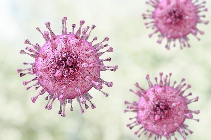 Sốt phát ban ở người lớn do virus Human herpes