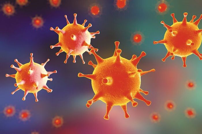 Nhiều loại virus mang lại lợi ích cho sức khỏe của con người