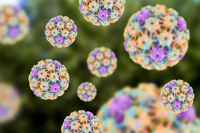 Chủng 16 và 18 HPV có khả năng gây ra ung thư cao