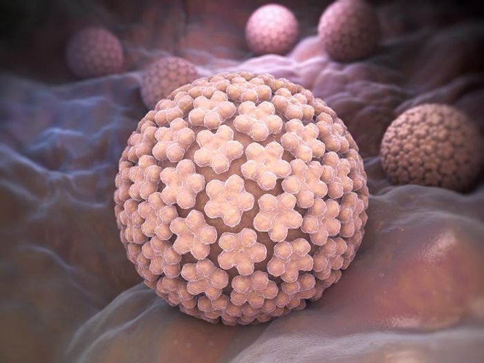 Tiêm vắc xin là biện pháp hiệu quả để ngăn chặn virus HPV xâm nhập vào cơ thể