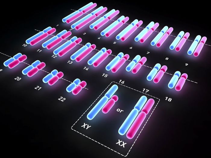 Xác định bệnh chính xác qua xét nghiệm Karyotype