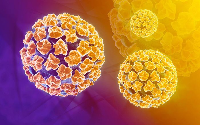 Virus HPV loại 18 và Nguy cơ ung thư cổ tử cung