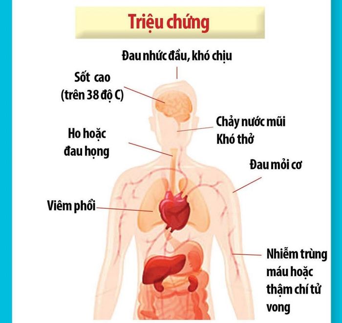 Một số biểu hiện của bệnh nhân mắc Covid-19