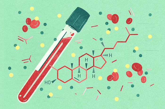 HDL cholesterol được biết đến như là chất béo có ích