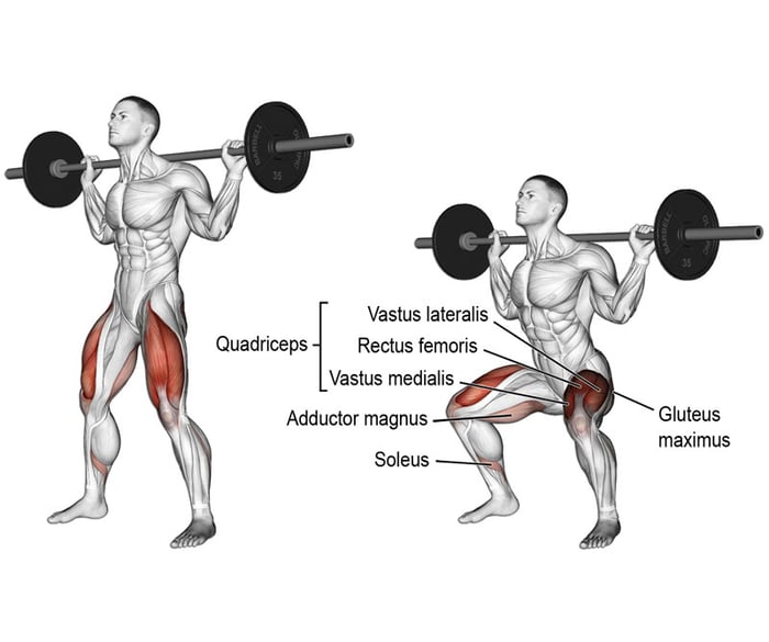 Xây dựng lịch tập gym phát triển cơ thể từ phần dưới lên trên