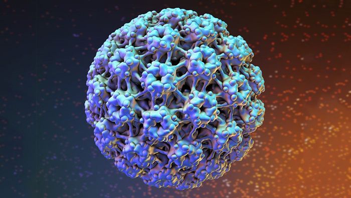 Virus HPV gây ra các bệnh như sùi mào gà và ung thư cổ tử cung,...