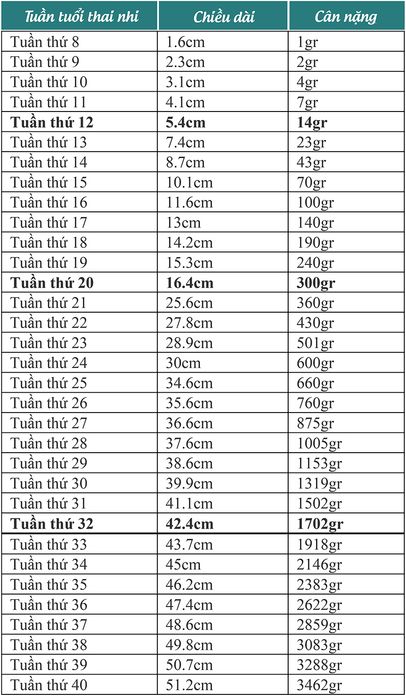 Chỉ số cân nặng và chiều dài của thai nhi theo từng tuần tuổi