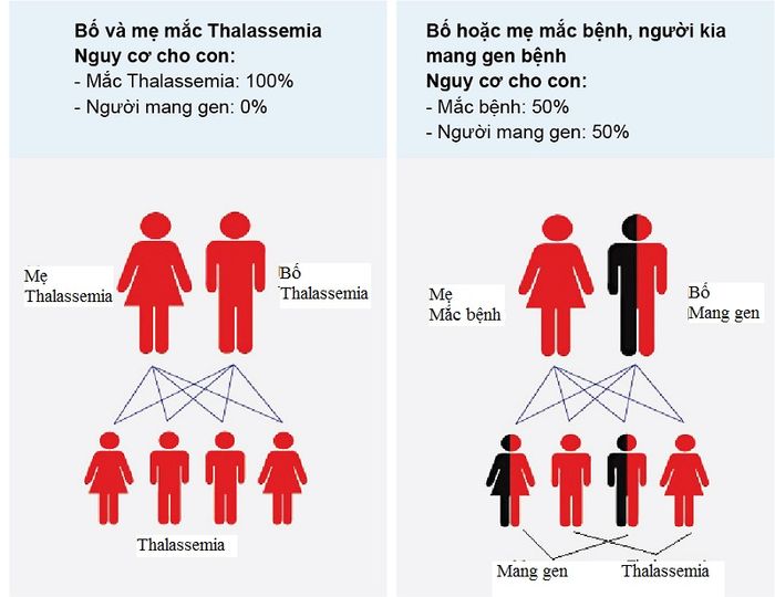 Thalassemia là một bệnh di truyền nên việc phát hiện và điều trị sớm rất quan trọng.