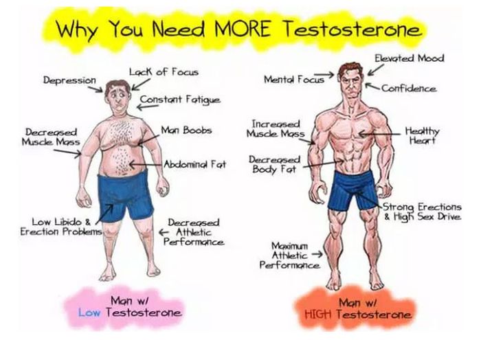 Nếu mức độ testosterone giảm đi, sức khỏe của người đàn ông sẽ trở nên yếu ớt hơn