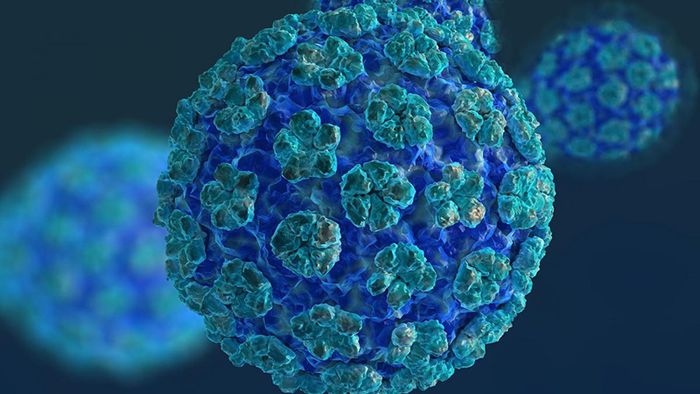 Lây nhiễm virus HPV là một trong những nguyên nhân gây ra bệnh sùi mào gà