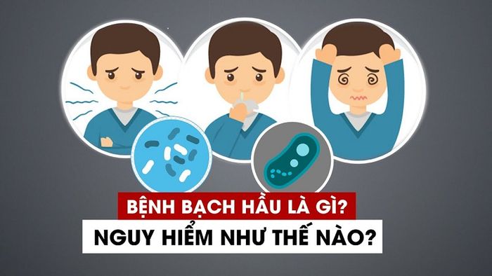 Bạch hầu là bệnh gì?