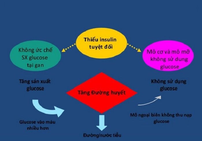 Cơ chế phát sinh tiểu đường type 1