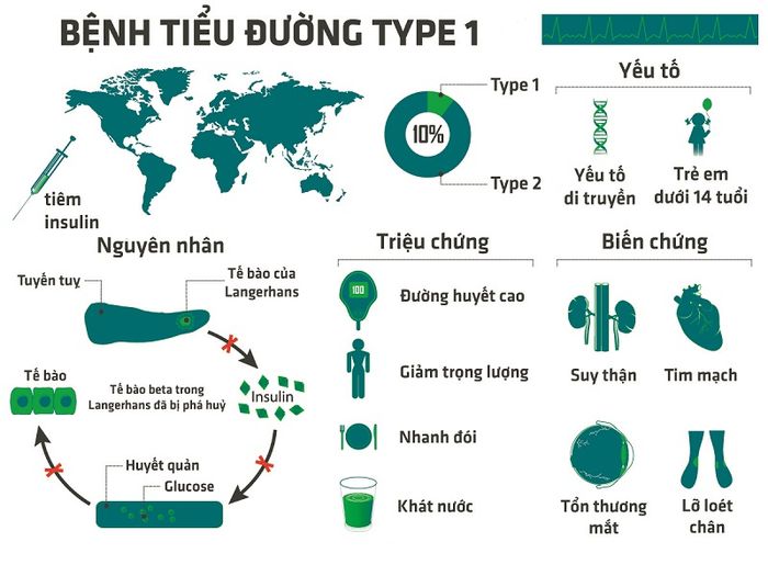 Tổng quan về bệnh tiểu đường type 1