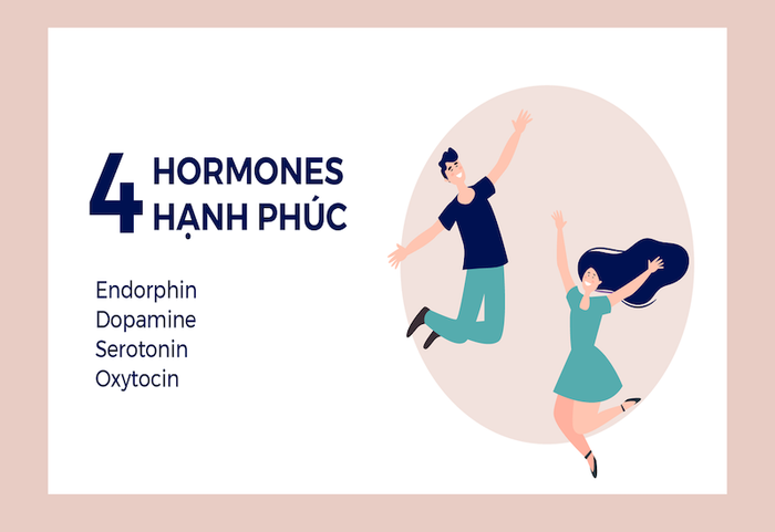 Serotonin là một trong bốn loại hormone hạnh phúc tồn tại trong cơ thể con người