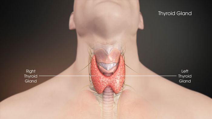 Nhiều người quan tâm: khi nào cần phải thực hiện phẫu thuật cắt bỏ tuyến giáp