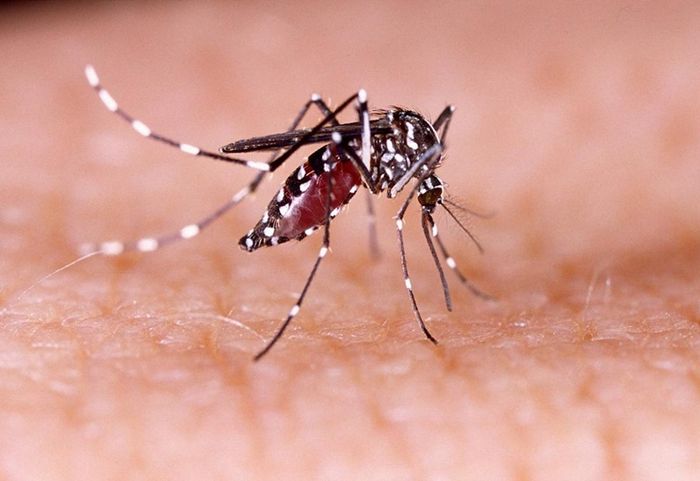 Trẻ bị sốt do nhiễm virus gây sốt xuất huyết