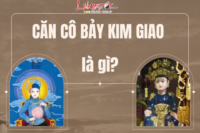 Can co Bay Kim giao la gi?