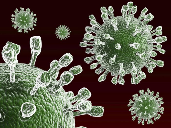 Tiêu chảy cấp do vi khuẩn hoặc virus có khả năng gây dịch