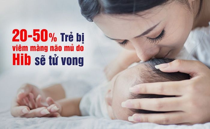 Vi khuẩn Hib là gì?