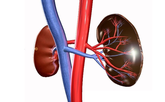 Tại sao suy thận mạn gây ra tình trạng thiếu máu