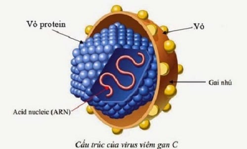 Xét Nghiệm Viêm Gan C Tại MEDLATEC Đảm Bảo An Toàn, Nhanh Chóng, và Chính Xác