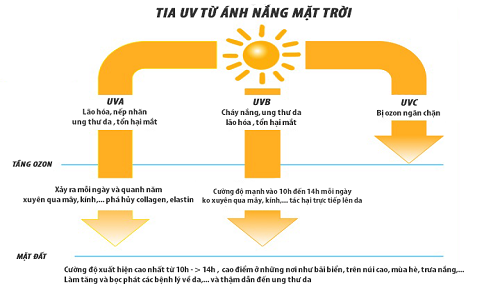 Tác động của tia UV đến da