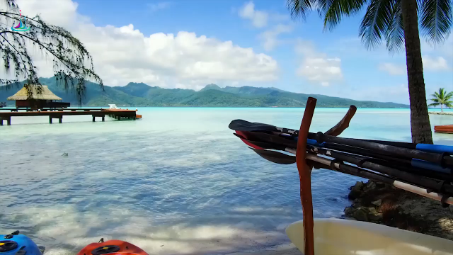 Hãy thử những môn thể thao dưới nước này ít nhất một lần trong đời bạn