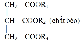 Con người có thể thu thập chất béo từ cây cỏ