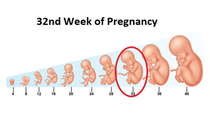 <a href='https://medlatec.vn/tin-tuc/giai-doan-thai-32-tuan--me-bau-can-luu-y-va-chuan-bi-nhung-gi-s195-n18084'  title ='thai 32 tuần'>Giai Đoạn Thai 32 Tuần</a> đã gần như hoàn thiện sự phát triển