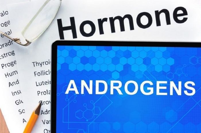 Androgen: Nội Tiết Tố Nam Quan Trọng