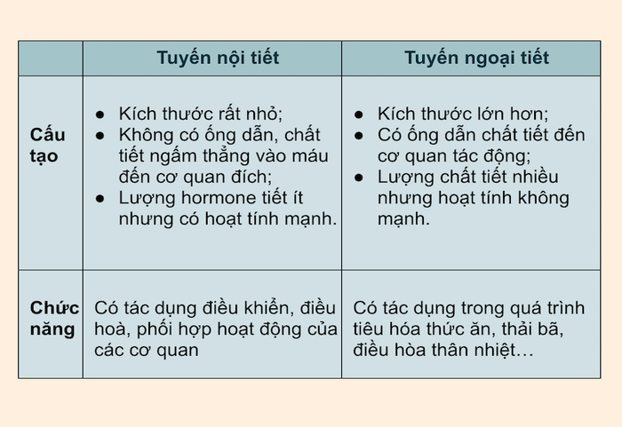 Phân biệt tuyến nội tiết và tuyến ngoại tiết