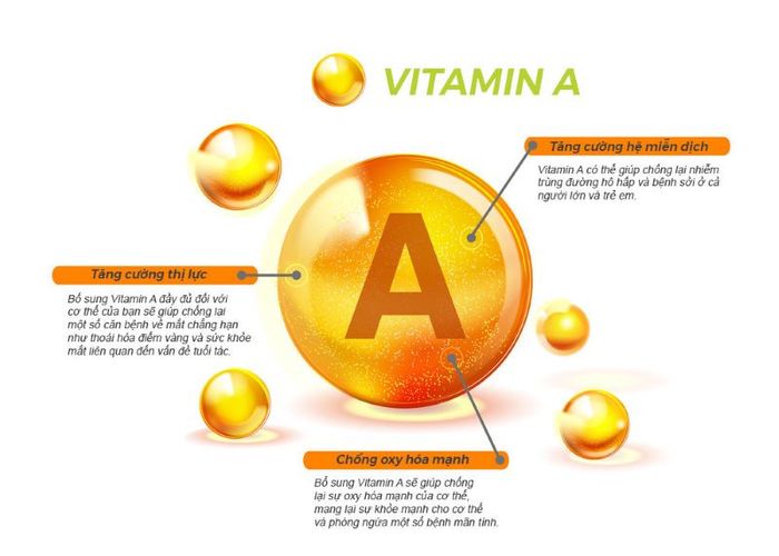 Tầm quan trọng của Vitamin A cho cơ thể