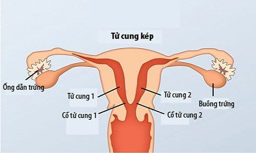 Liệu pháp giao cấu thường xuyên nhưng gặp phải nhiều cảm giác đau đớn, nguyên nhân là gì?