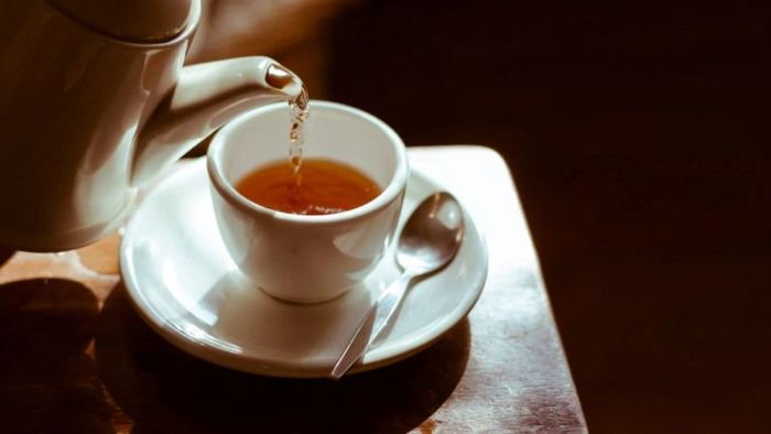 Trước khi sử dụng cây xấu hổ, hãy tham khảo ý kiến bác sĩ