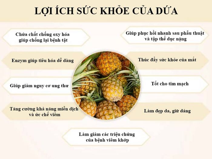 Dứa mang lại nhiều lợi ích cho sức khỏe