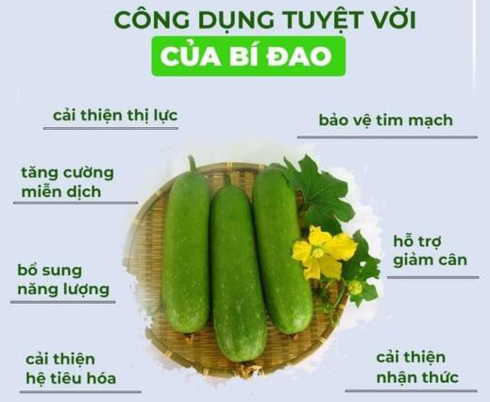 Lợi ích sức khỏe của bí đao