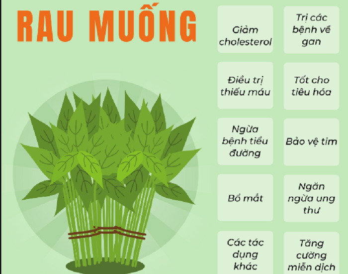 Rau muống mang lại nhiều lợi ích cho sức khỏe con người