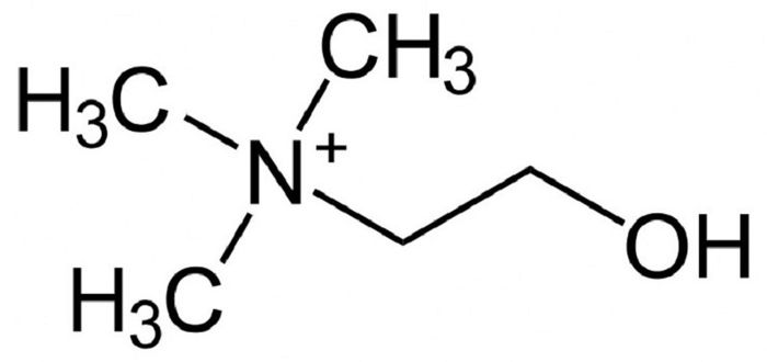 Cấu trúc của choline giống với vitamin B