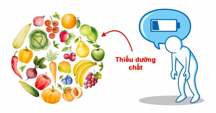 Cơ Thể Suy Yếu Khi Không Được Nạp Đủ Chất Dinh Dưỡng 