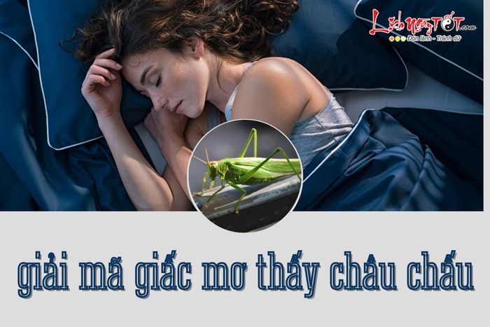 Mơ thấy châu chấu đề cập đến điều gì?