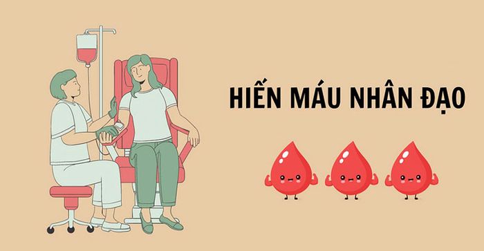 Cho máu giúp kích thích cơ thể tạo ra nguồn máu mới