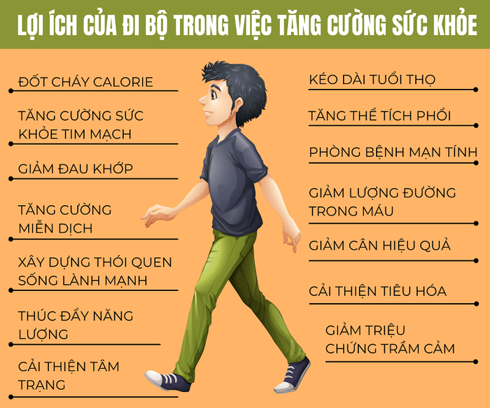 Các ưu điểm thực tế của việc đi bộ đối với sức khỏe