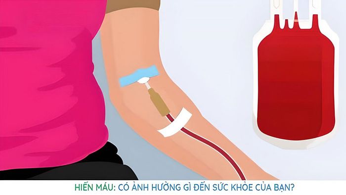 Việc hiến máu không gây tổn hại cho sức khỏe của người hiến